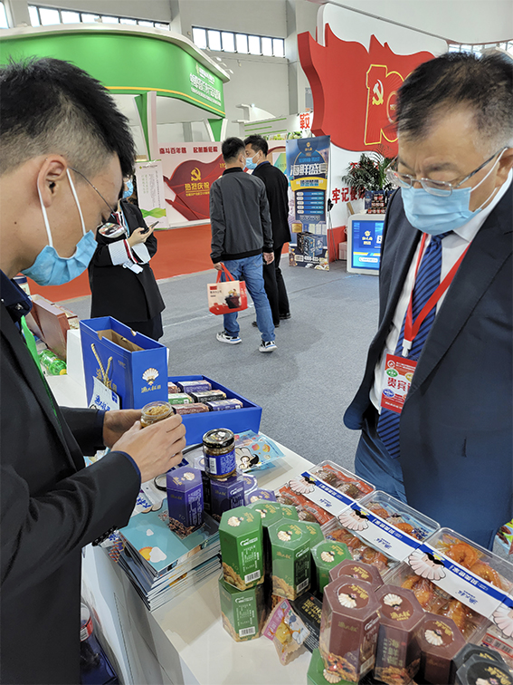 香港正版资料大全免费